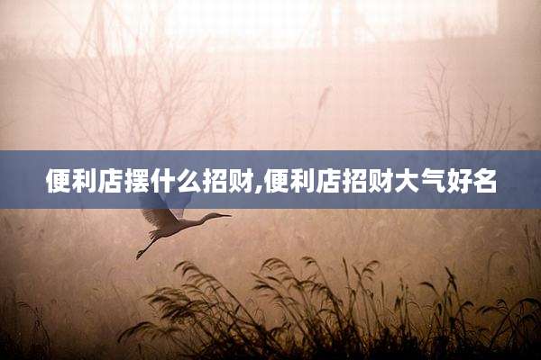 便利店摆什么招财,便利店招财大气好名