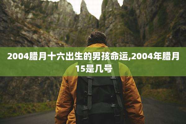 2004腊月十六出生的男孩命运,2004年腊月15是几号