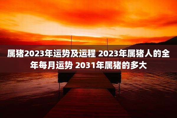 属猪2023年运势及运程 2023年属猪人的全年每月运势 2031年属猪的多大