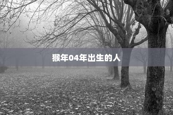 猴年04年出生的人