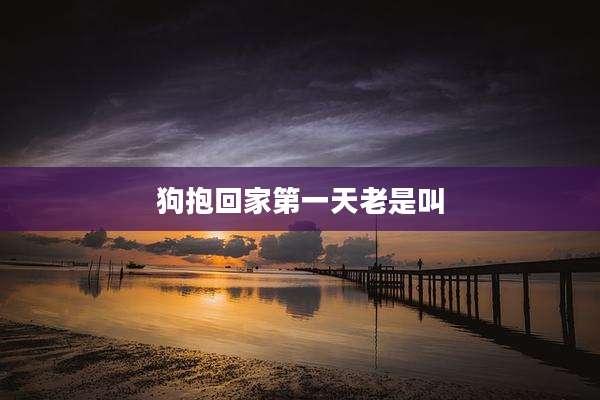 狗抱回家第一天老是叫