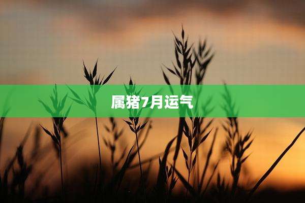 属猪7月运气