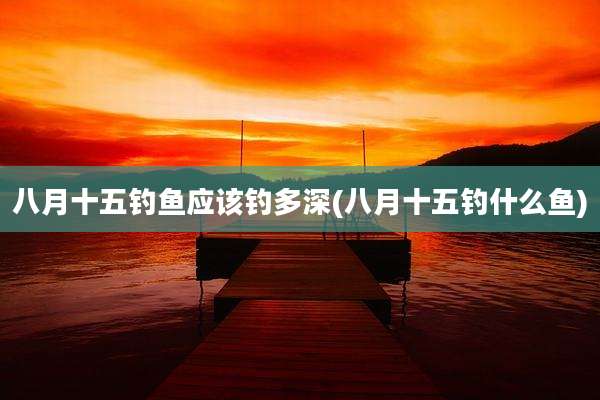 八月十五钓鱼应该钓多深(八月十五钓什么鱼)