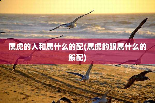 属虎的人和属什么的配(属虎的跟属什么的般配)