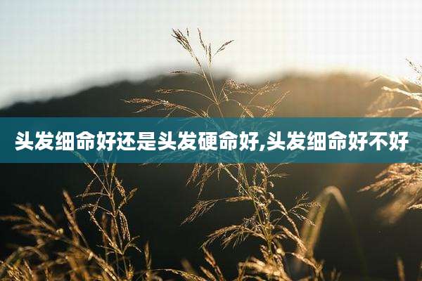 头发细命好还是头发硬命好,头发细命好不好