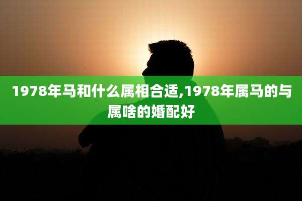 1978年马和什么属相合适,1978年属马的与属啥的婚配好