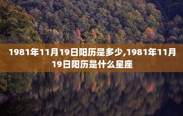 1981年11月19日阳历是多少,1981年11月19日阳历是什么星座