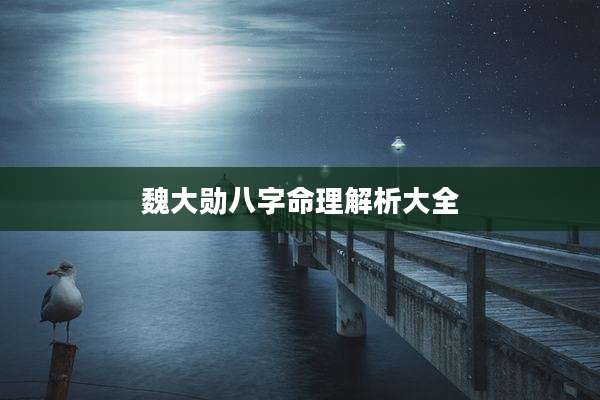 魏大勋八字命理解析大全