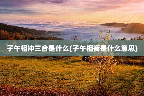 子午相冲三合是什么(子午相衡是什么意思)