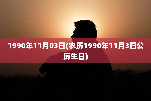 1990年11月03日(农历1990年11月3日公历生日)