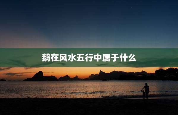 鹅在风水五行中属于什么