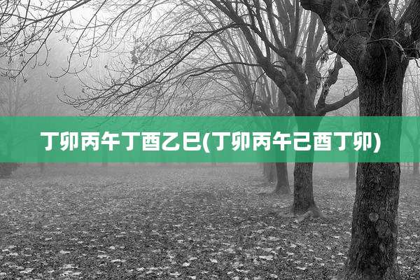丁卯丙午丁酉乙巳(丁卯丙午己酉丁卯)