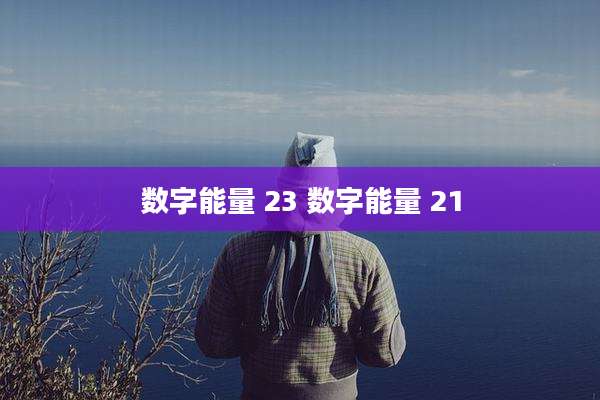 数字能量 23 数字能量 21