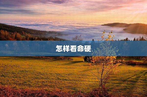 怎样看命硬