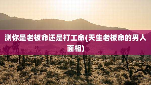 测你是老板命还是打工命(天生老板命的男人面相)