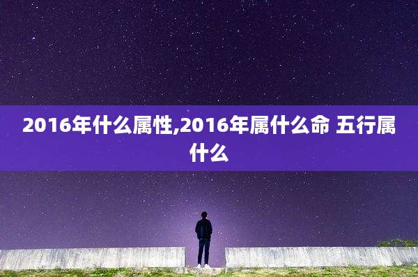 2016年什么属性,2016年属什么命 五行属什么