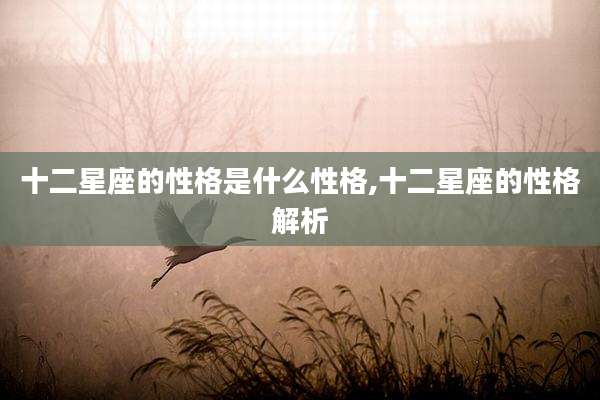 十二星座的性格是什么性格,十二星座的性格解析