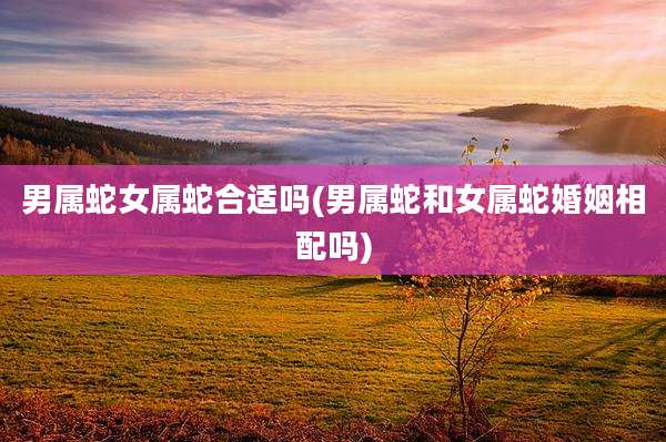 男属蛇女属蛇合适吗(男属蛇和女属蛇婚姻相配吗)