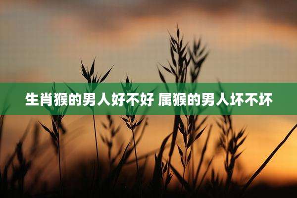 生肖猴的男人好不好 属猴的男人坏不坏