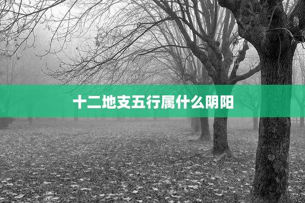 十二地支五行属什么阴阳