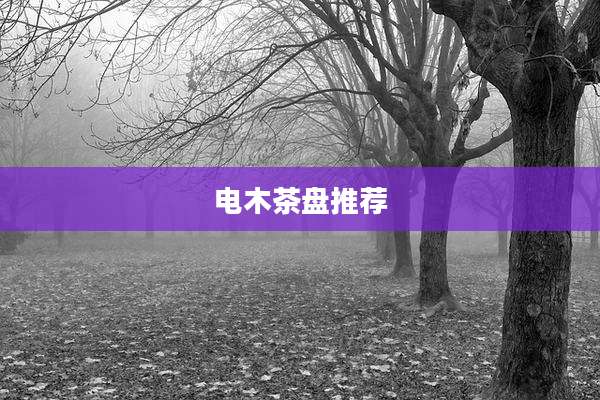电木茶盘推荐