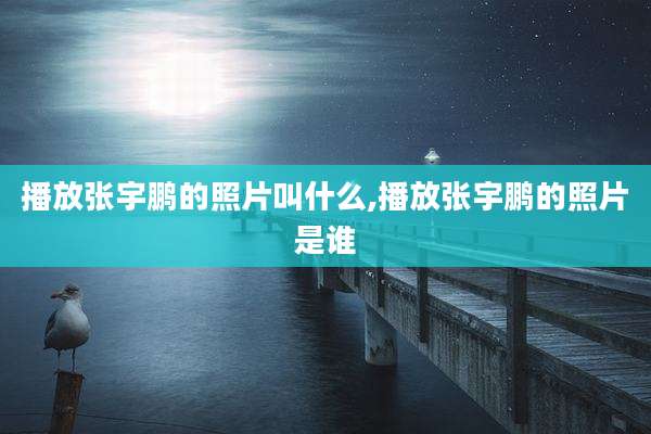 播放张宇鹏的照片叫什么,播放张宇鹏的照片是谁