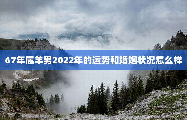 67年属羊男2022年的运势和婚姻状况怎么样
