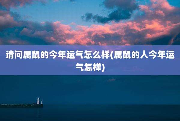 请问属鼠的今年运气怎么样(属鼠的人今年运气怎样)
