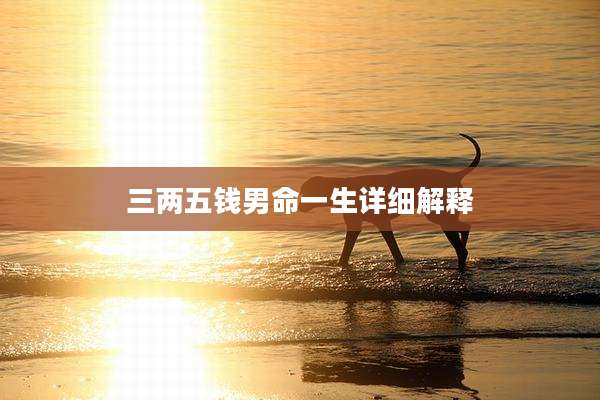三两五钱男命一生详细解释