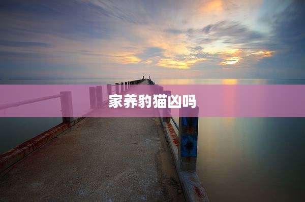 家养豹猫凶吗