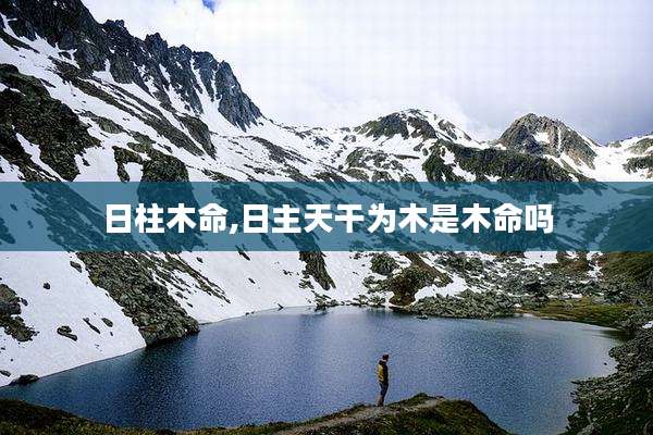 日柱木命,日主天干为木是木命吗