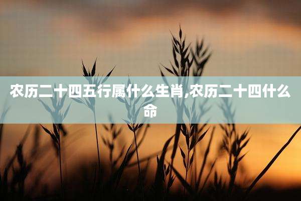 农历二十四五行属什么生肖,农历二十四什么命