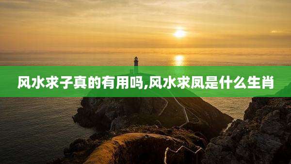 风水求子真的有用吗,风水求凤是什么生肖