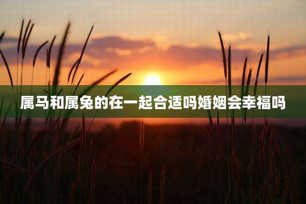 属马和属兔的在一起合适吗婚姻会幸福吗