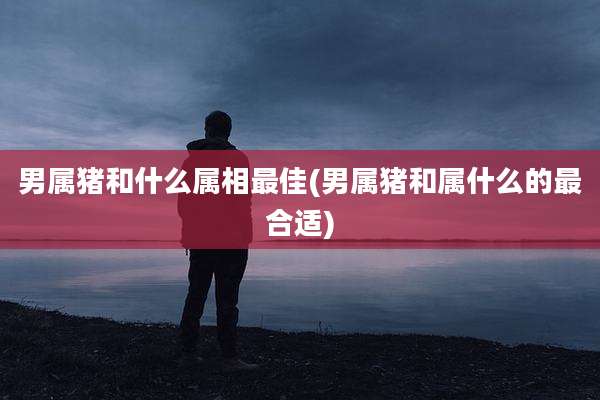 男属猪和什么属相最佳(男属猪和属什么的最合适)