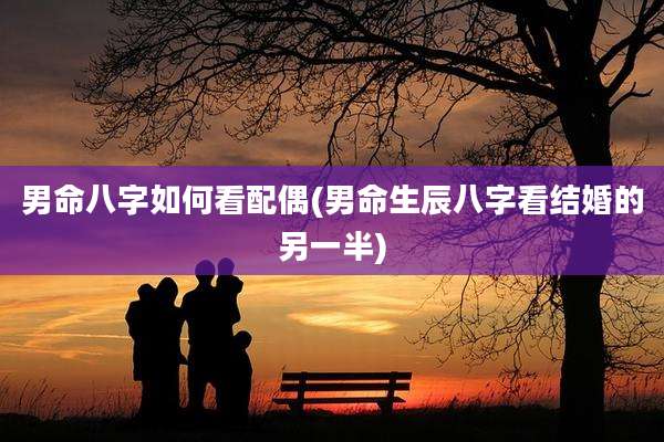 男命八字如何看配偶(男命生辰八字看结婚的另一半)