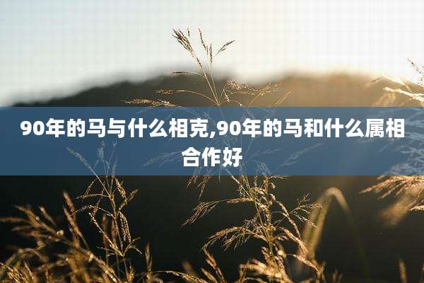 90年的马与什么相克,90年的马和什么属相合作好