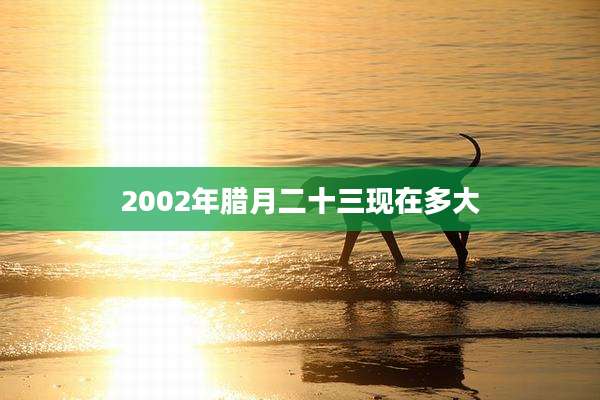 2002年腊月二十三现在多大