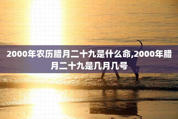 2000年农历腊月二十九是什么命,2000年腊月二十九是几月几号