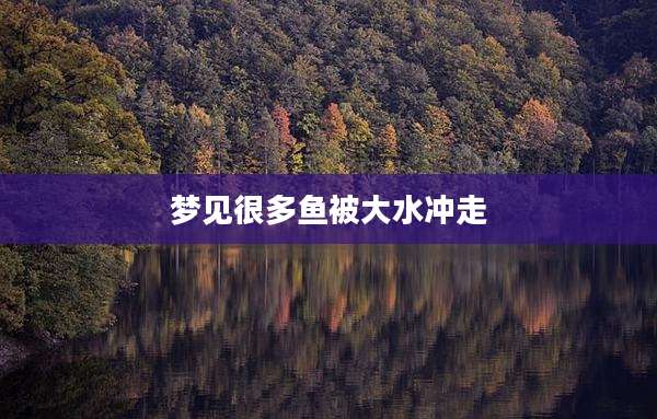 梦见很多鱼被大水冲走