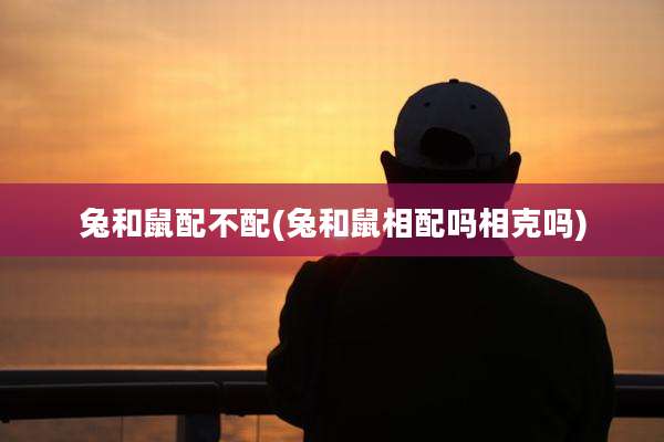 兔和鼠配不配(兔和鼠相配吗相克吗)