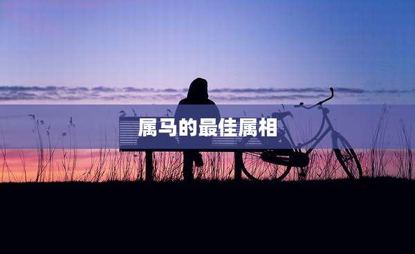 属马的最佳属相
