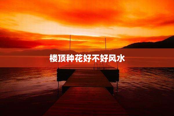 楼顶种花好不好风水