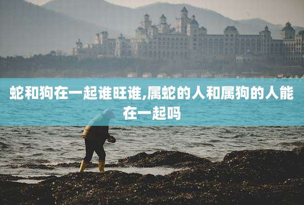 蛇和狗在一起谁旺谁,属蛇的人和属狗的人能在一起吗