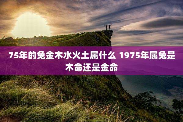 75年的兔金木水火土属什么 1975年属兔是木命还是金命