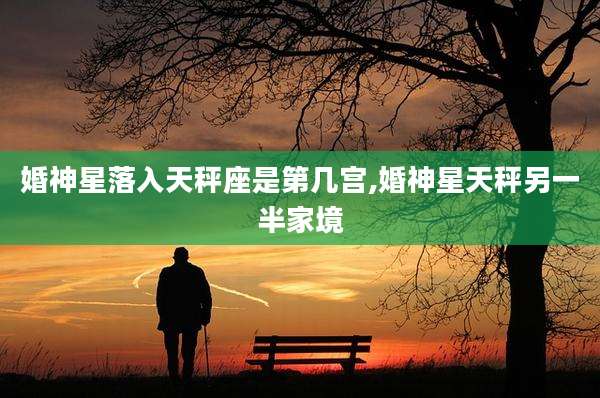 婚神星落入天秤座是第几宫,婚神星天秤另一半家境