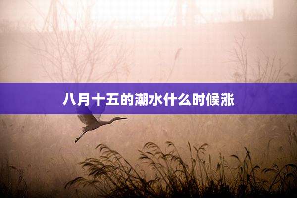 八月十五的潮水什么时候涨