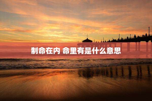 制命在内 命里有是什么意思