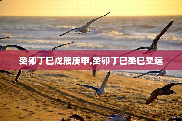 癸卯丁巳戊辰庚申,癸卯丁巳癸巳交运