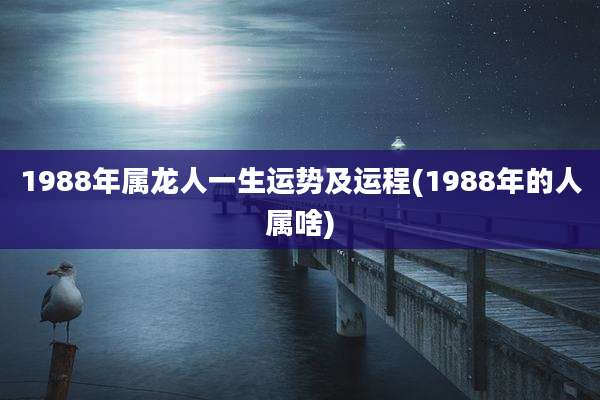 1988年属龙人一生运势及运程(1988年的人属啥)